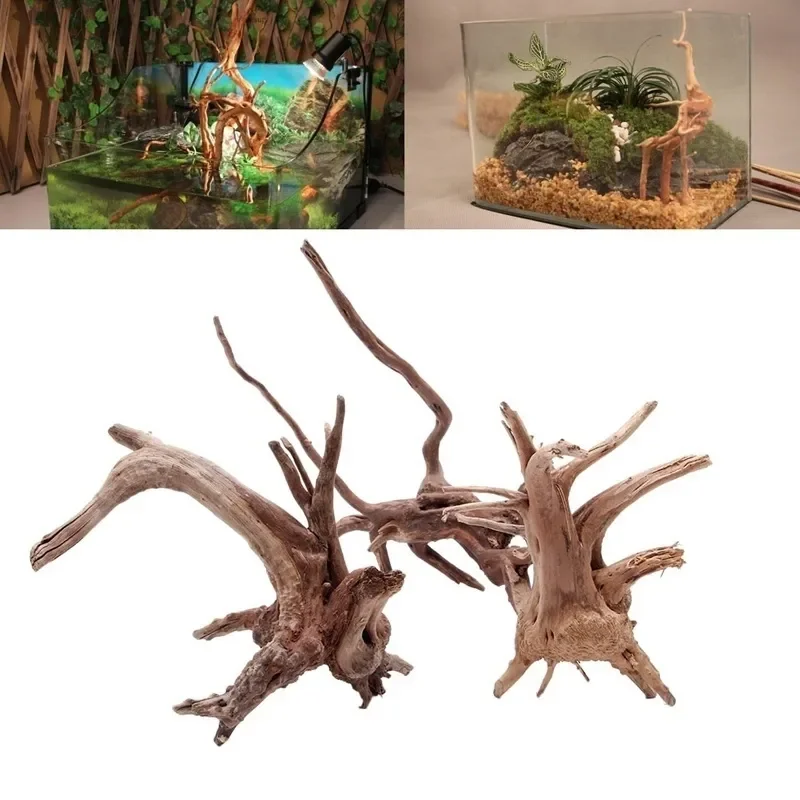 Pohon alami kayu apung akuariu - Aquarium Plant Live ulasan dan harga