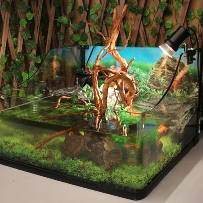 Pohon alami kayu apung akuariu - Aquarium Plant Live ulasan dan harga