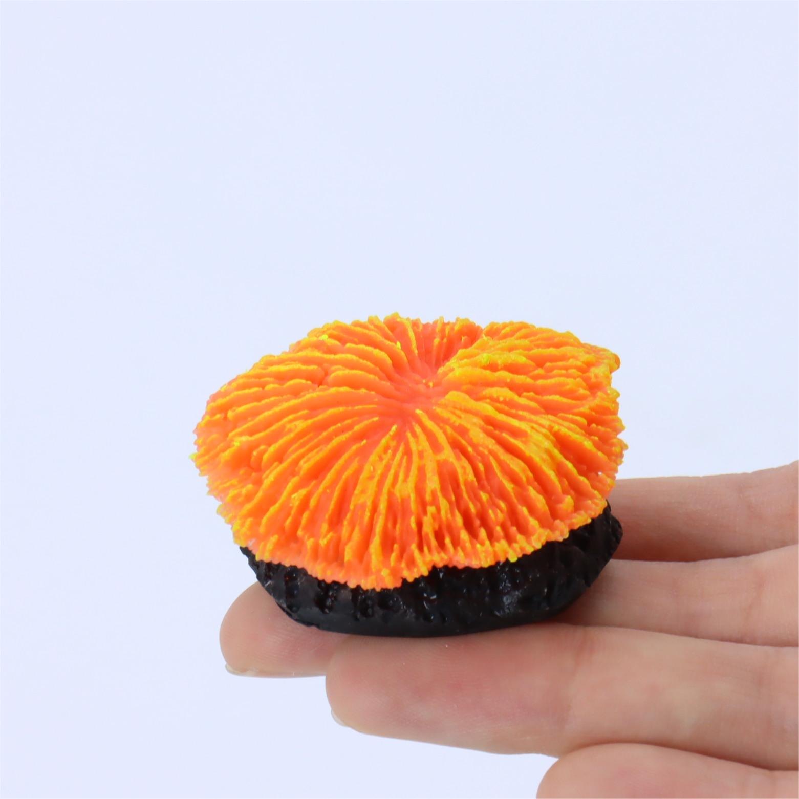 1 Buah Dekorasi Akuarium, Kara - Aquarium Plant Live ulasan dan harga