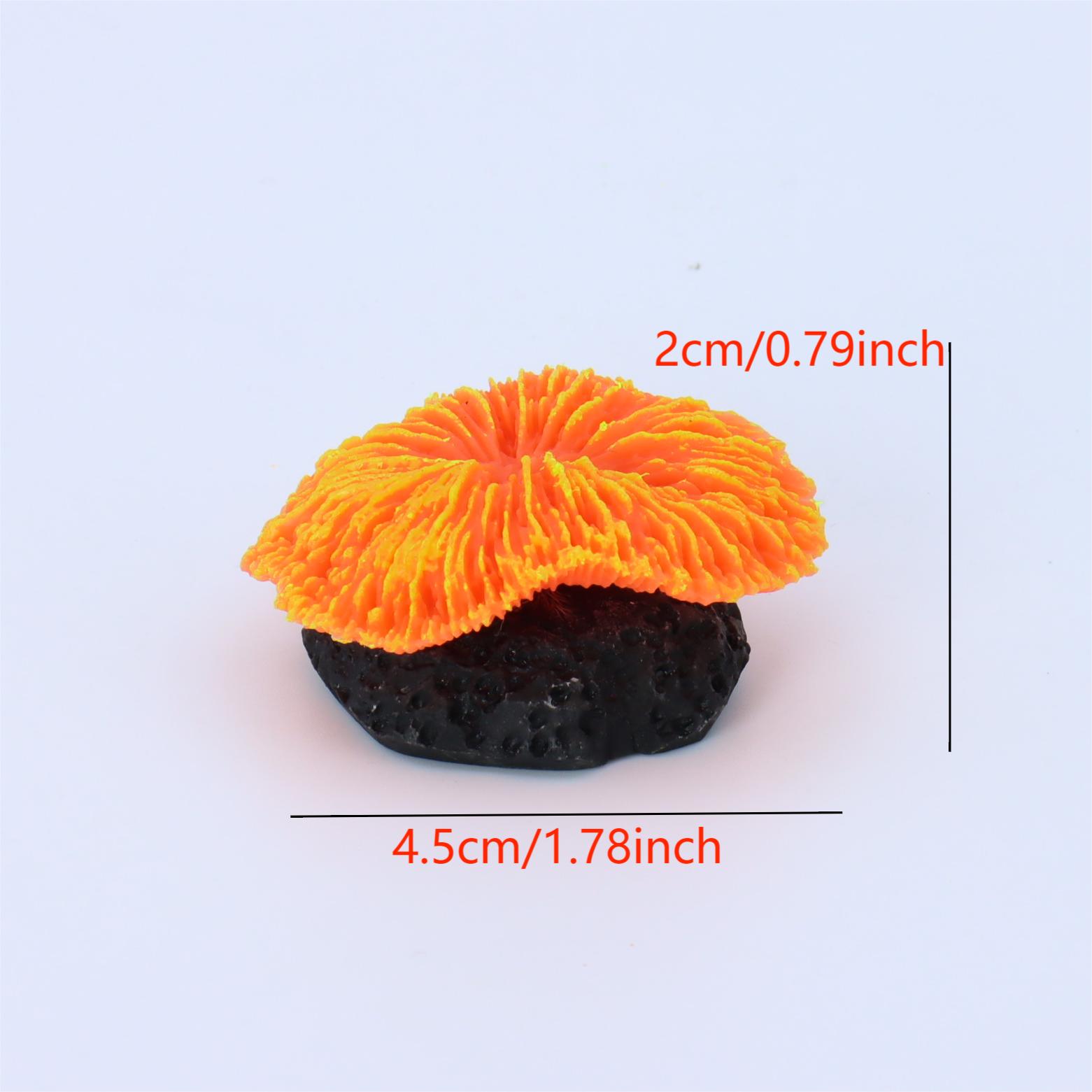 1 Buah Dekorasi Akuarium, Kara - Aquarium Plant Live ulasan dan harga