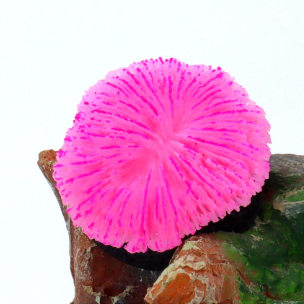 1 Buah Dekorasi Akuarium, Kara - Aquarium Plant Live ulasan dan harga