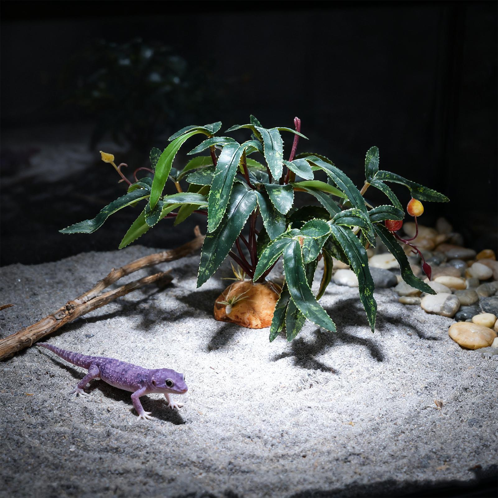 Tanaman Reptil Palsu, Hiasan T - Aquarium Plant Ornament ulasan dan harga