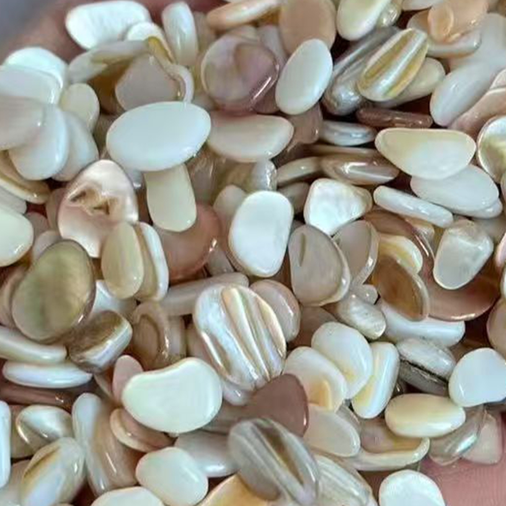 50pcs 4-7mm Cangkang Mutiara A - Aquarium Sand White ulasan dan harga