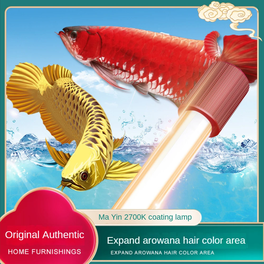 Lampu Akuarium Ikan Arowana Ka - Aquarium Plant Yellowing ulasan dan harga