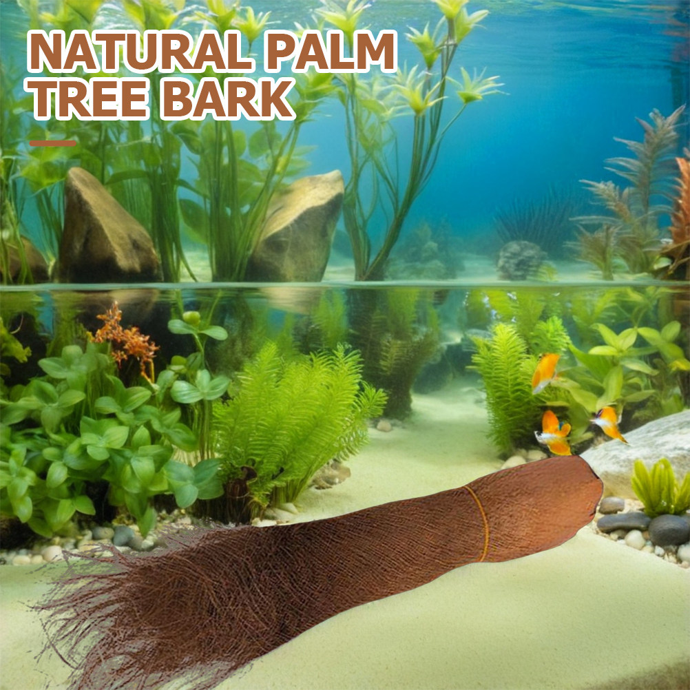 5 Lembar Kulit Pohon Palem Rea - Aquarium Planted Tree ulasan dan harga