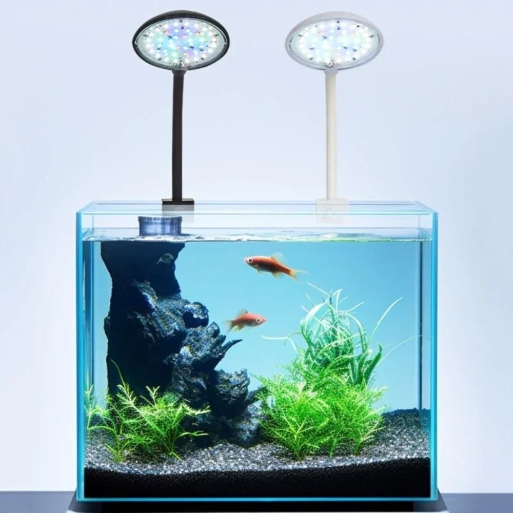 Lampu Klip Akuarium Mini Rotas - Aquarium Plant Live ulasan dan harga