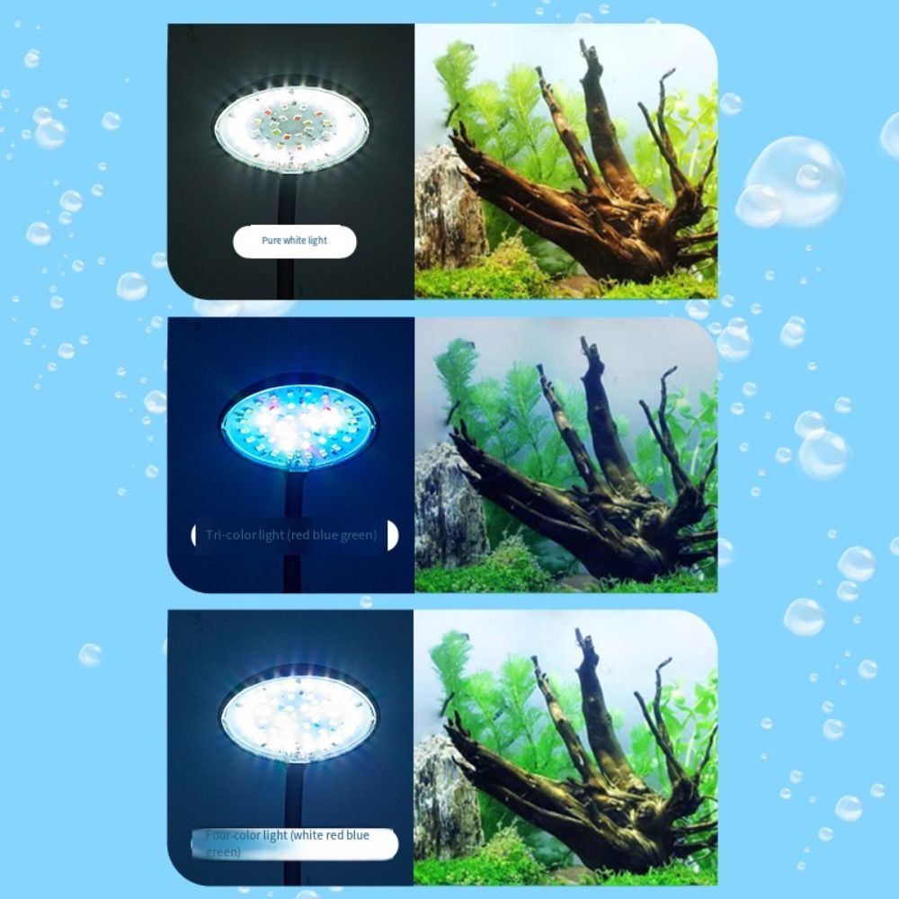Lampu Klip Akuarium Mini Rotas - Aquarium Plant Live ulasan dan harga