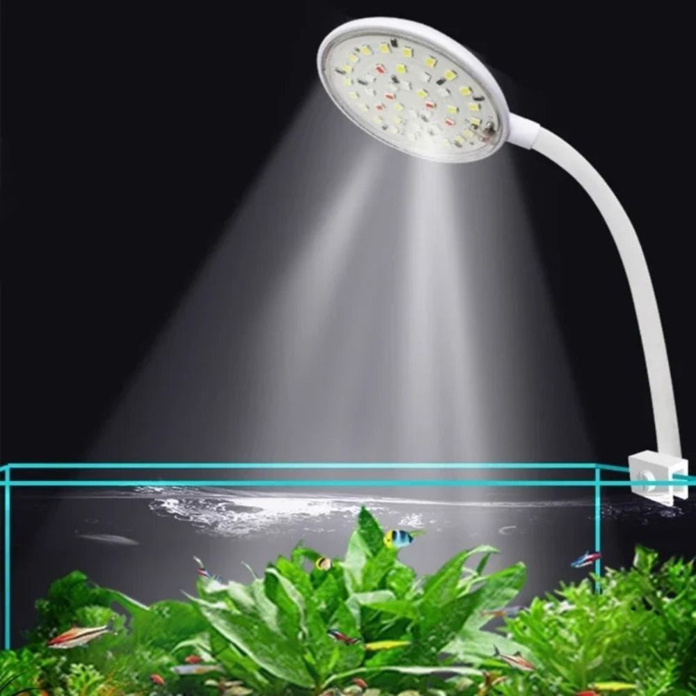 Lampu Klip Akuarium Mini Rotas - Aquarium Plant Live ulasan dan harga