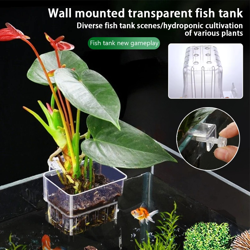 Pot Tanaman Gantung Akuarium,  - Aquarium Plant Ornament ulasan dan harga