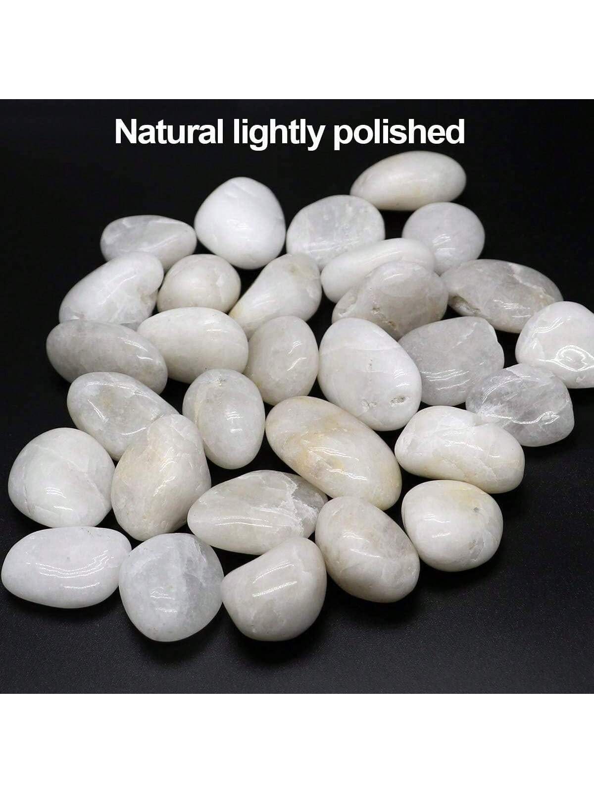 Batu Sungai dekoratif hias bat - Aquarium Sand White ulasan dan harga