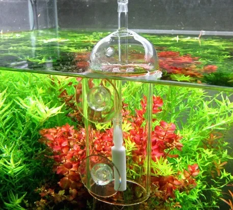 VIV MELAKUKAN PERANGKAT Silind - Planted Aquarium Air Stone ulasan dan harga