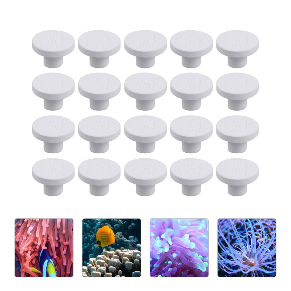 Alas Keramik SPS untuk Coral F - Aquarium Plant Ornament ulasan dan harga