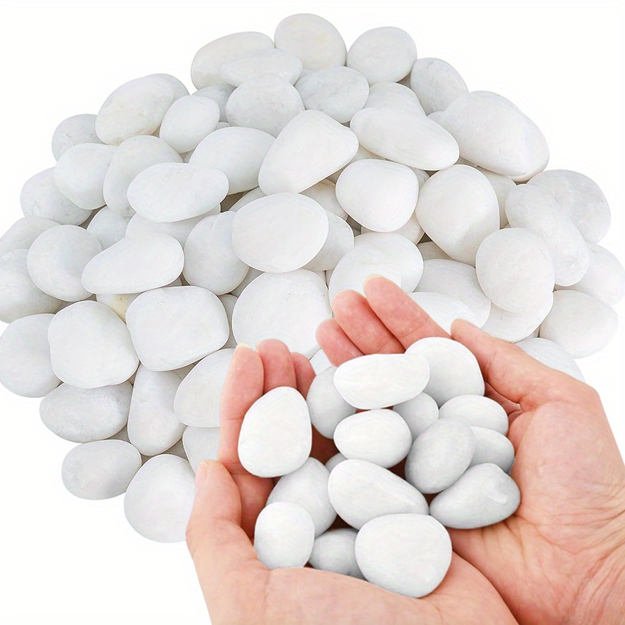 200/400g Batu Kerikil Putih Po - Aquarium Planted ulasan dan harga