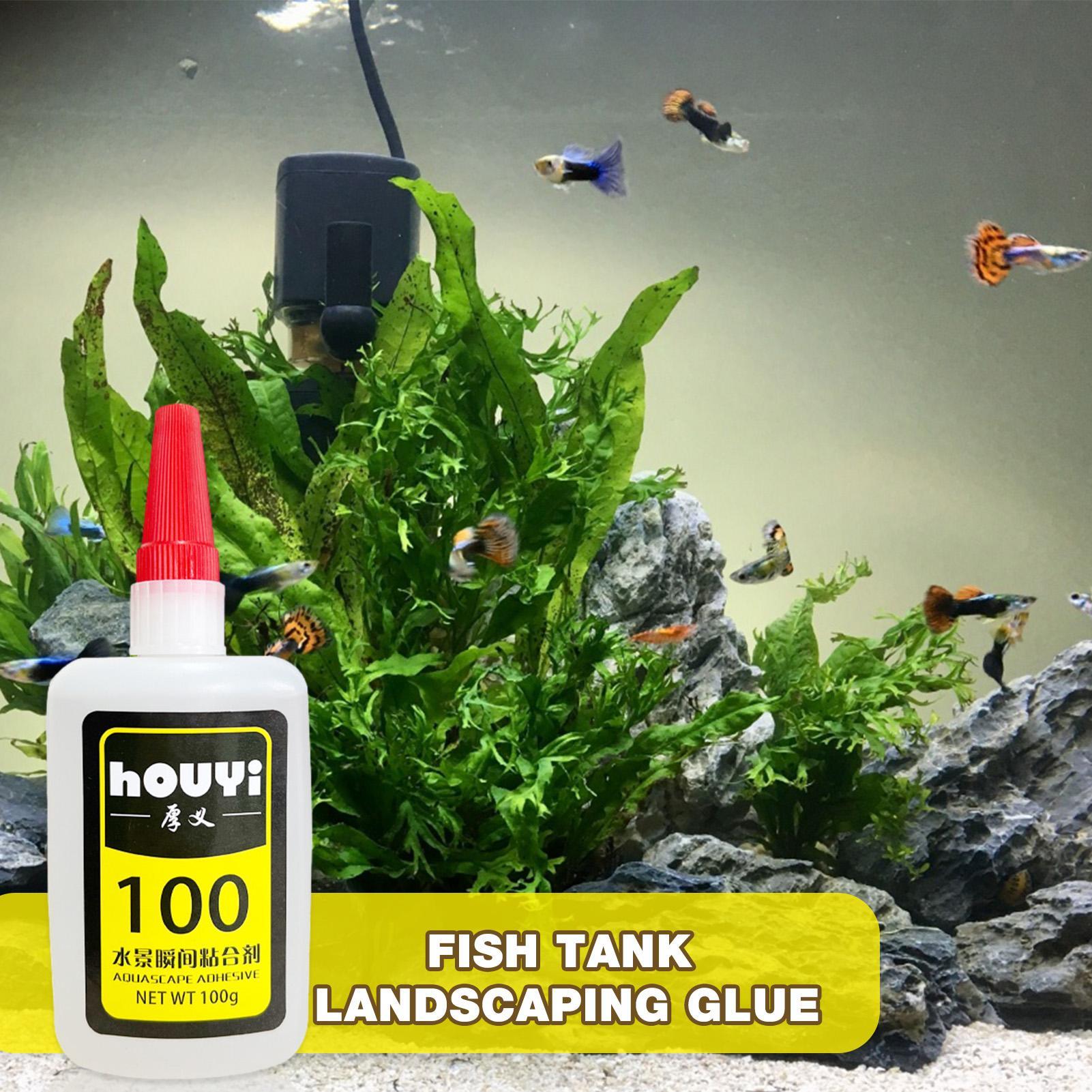 50/100g Lem Instan Bening untu - Aquarium Plant Glue ulasan dan harga