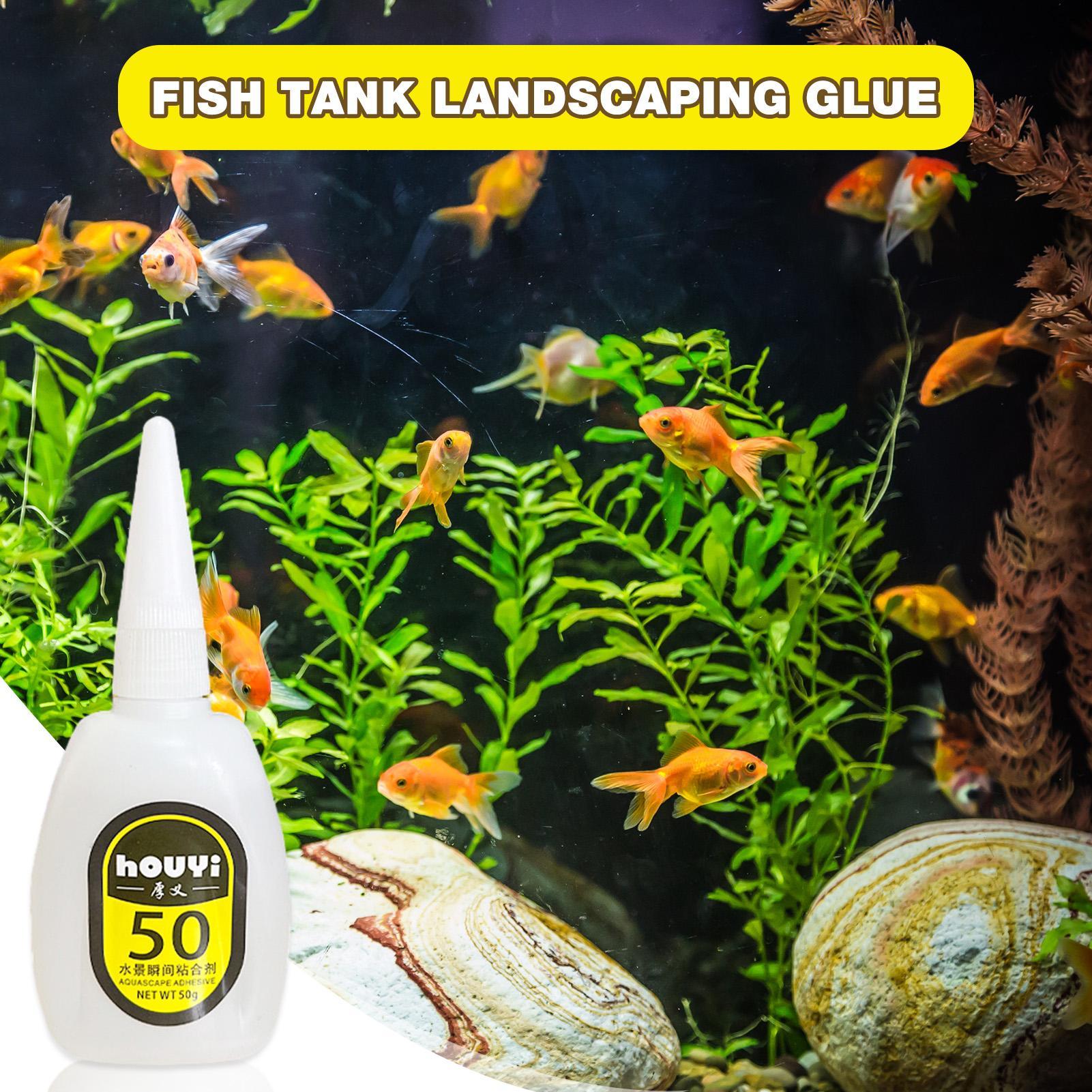 50/100g Lem Instan Bening untu - Aquarium Plant Glue ulasan dan harga