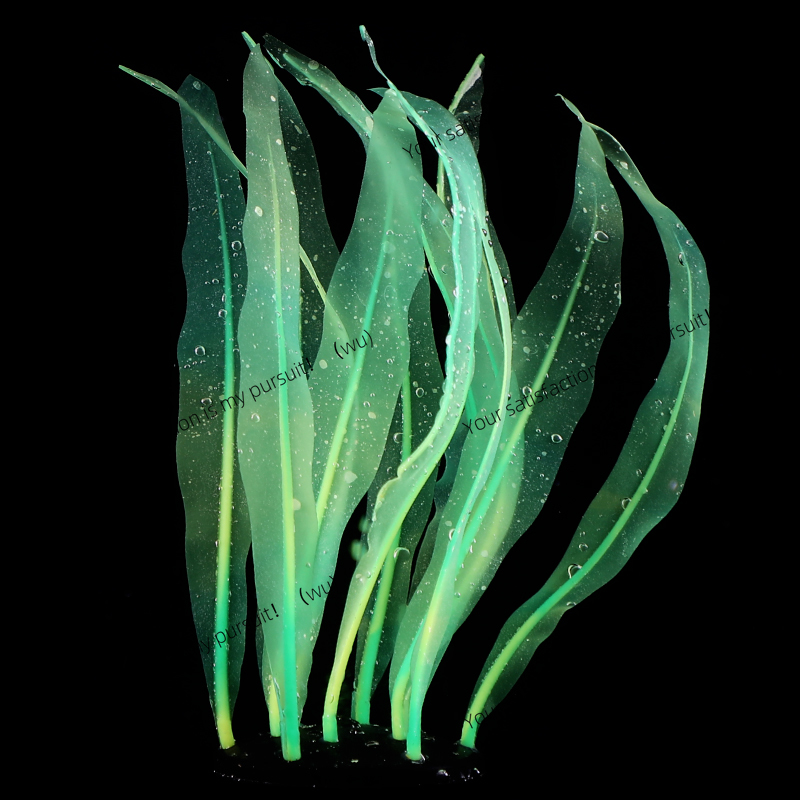 Dekorasi Tanaman Kelp Simulasi - Aquarium Plant Gel ulasan dan harga