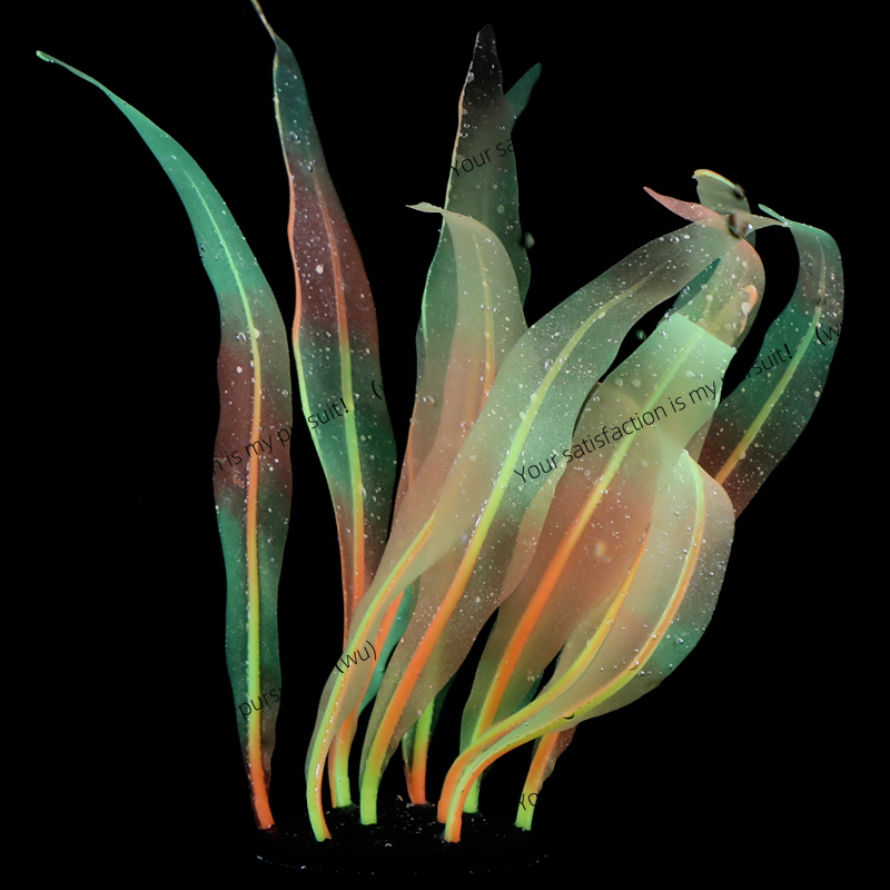 Dekorasi Tanaman Kelp Simulasi - Aquarium Plant Gel ulasan dan harga