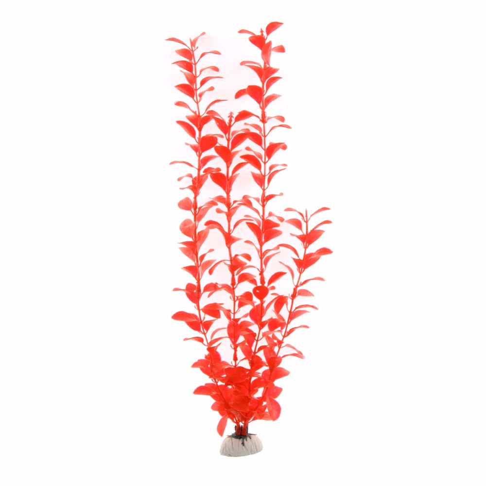 Ornamen Aksesori Akuarium Buat - Aquarium Plant Live ulasan dan harga