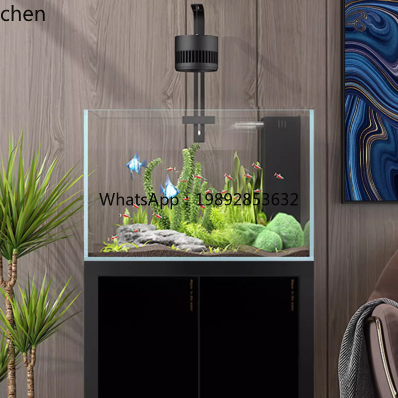 Akuarium tanaman air persegi t - Aquarium Plant Live ulasan dan harga