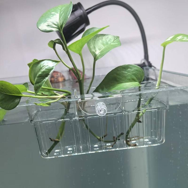 Keranjang Tanaman Hidroponik,  - Aquarium Planted ulasan dan harga