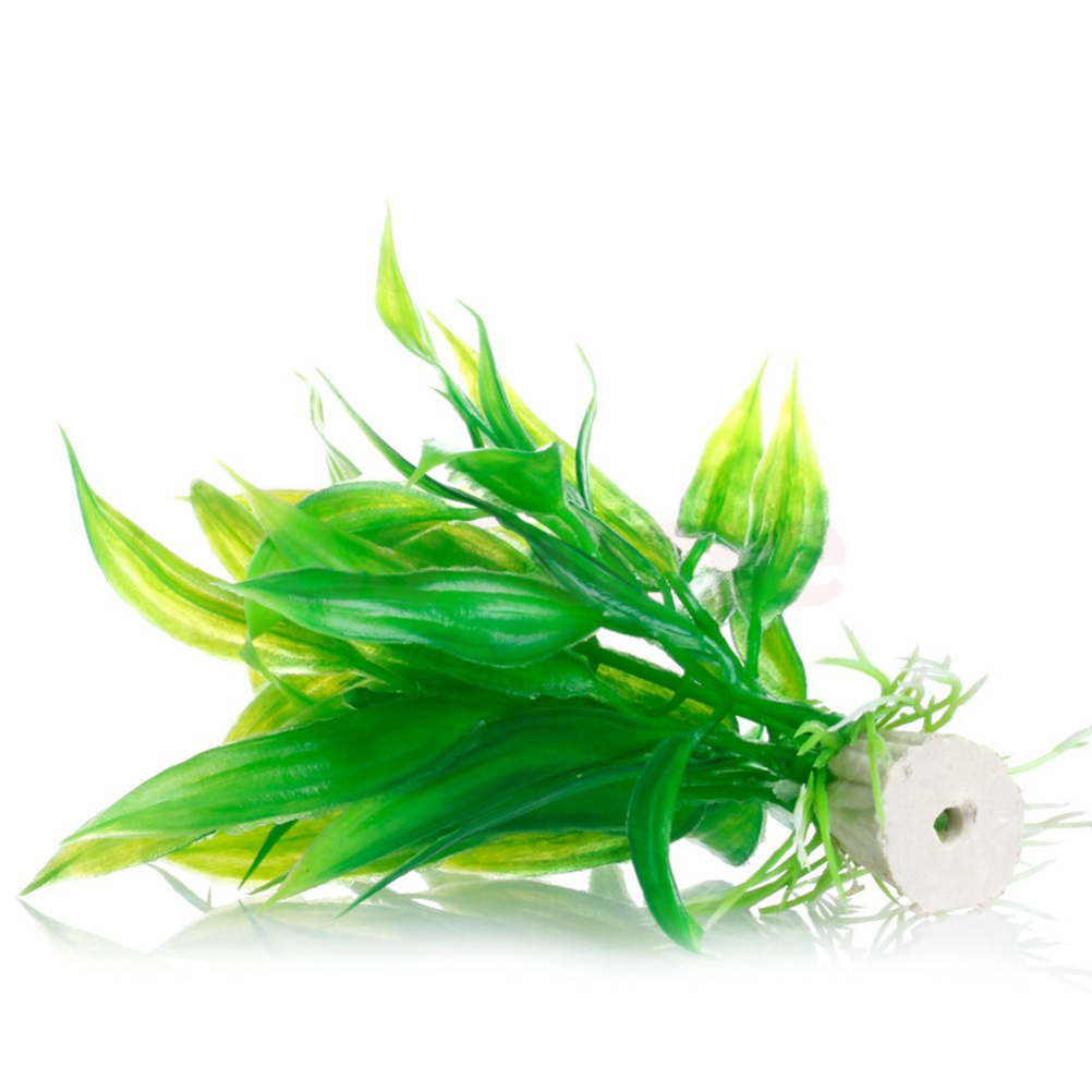 15CM/10CM Ornamen Tanaman Air  - Aquarium Plant Live ulasan dan harga