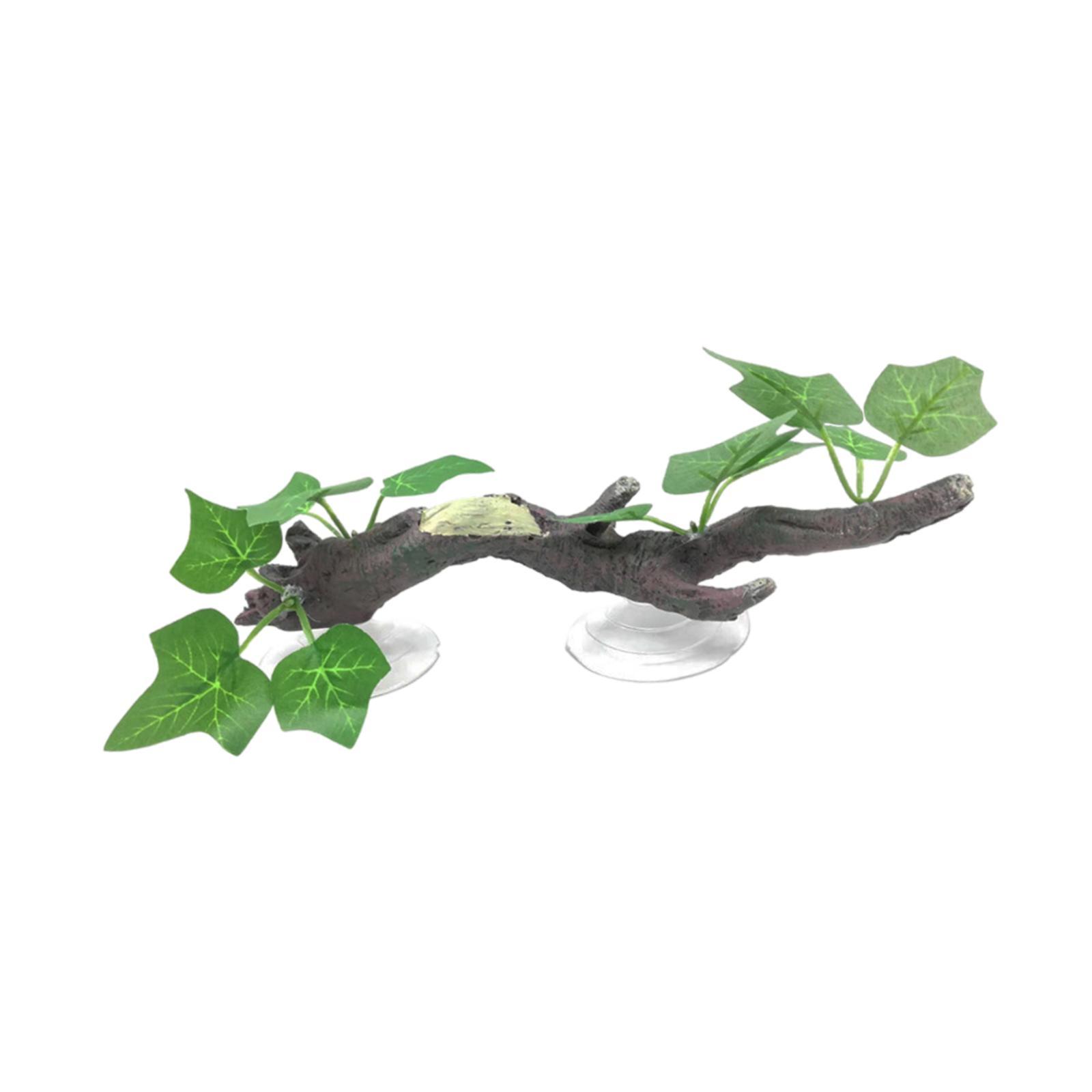 Dekorasi Cabang Pohon untuk Re - Aquarium Planted Tree ulasan dan harga