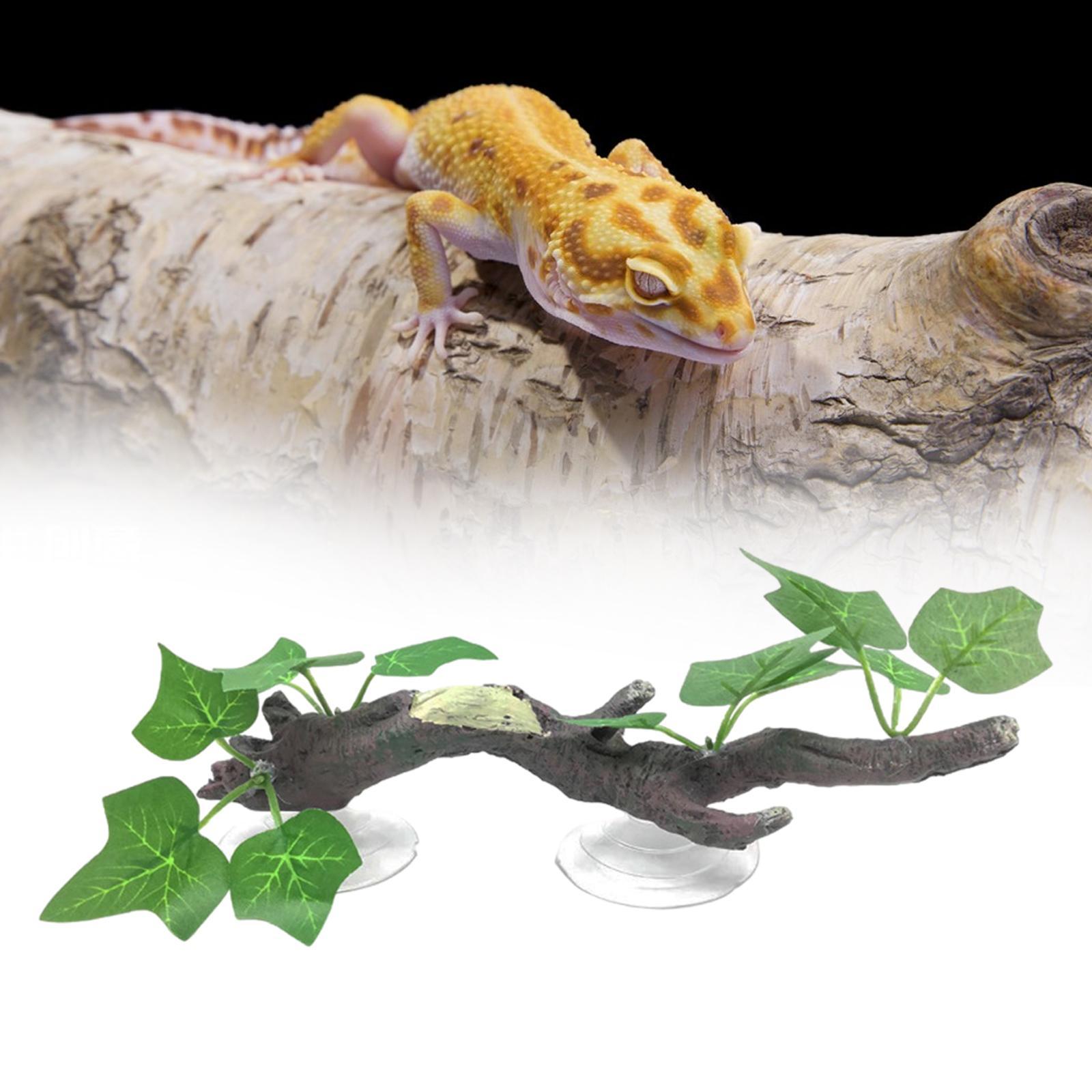 Dekorasi Cabang Pohon untuk Re - Aquarium Planted Tree ulasan dan harga