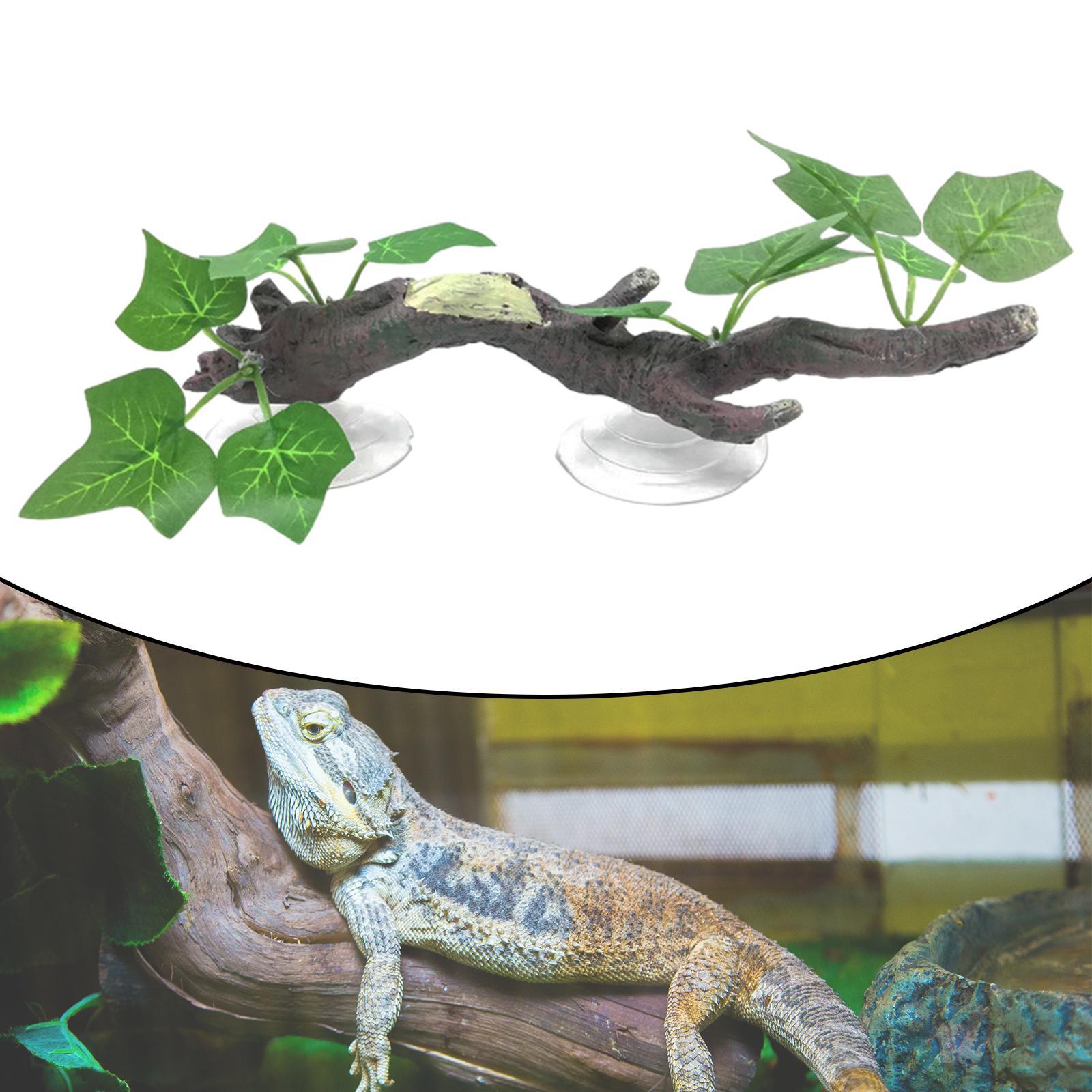 Dekorasi Cabang Pohon untuk Re - Aquarium Planted Tree ulasan dan harga