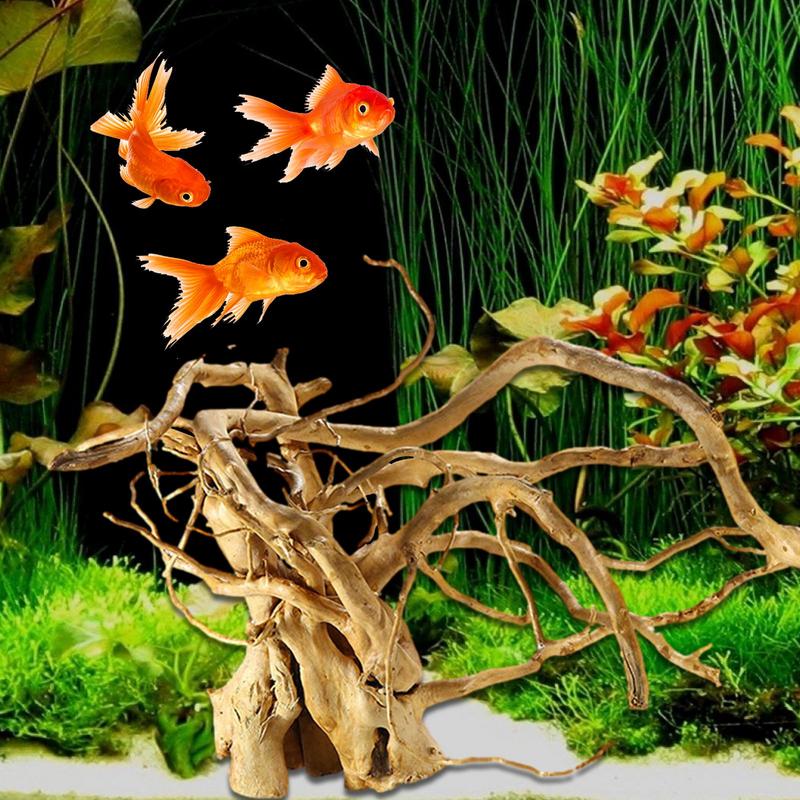 Akuarium Driftwood dekorasi po - Aquarium Plant Glue ulasan dan harga